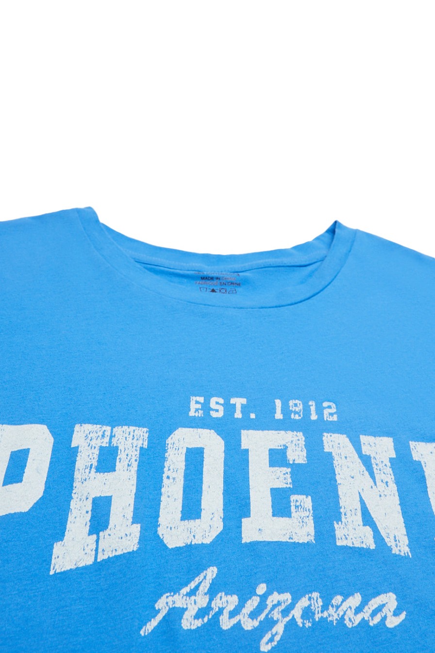 Aux Femmes Aéropostale T-Shirts Graphiques | T-Shirt Surdimensionne A Imprime Phoenix Arizona Violet