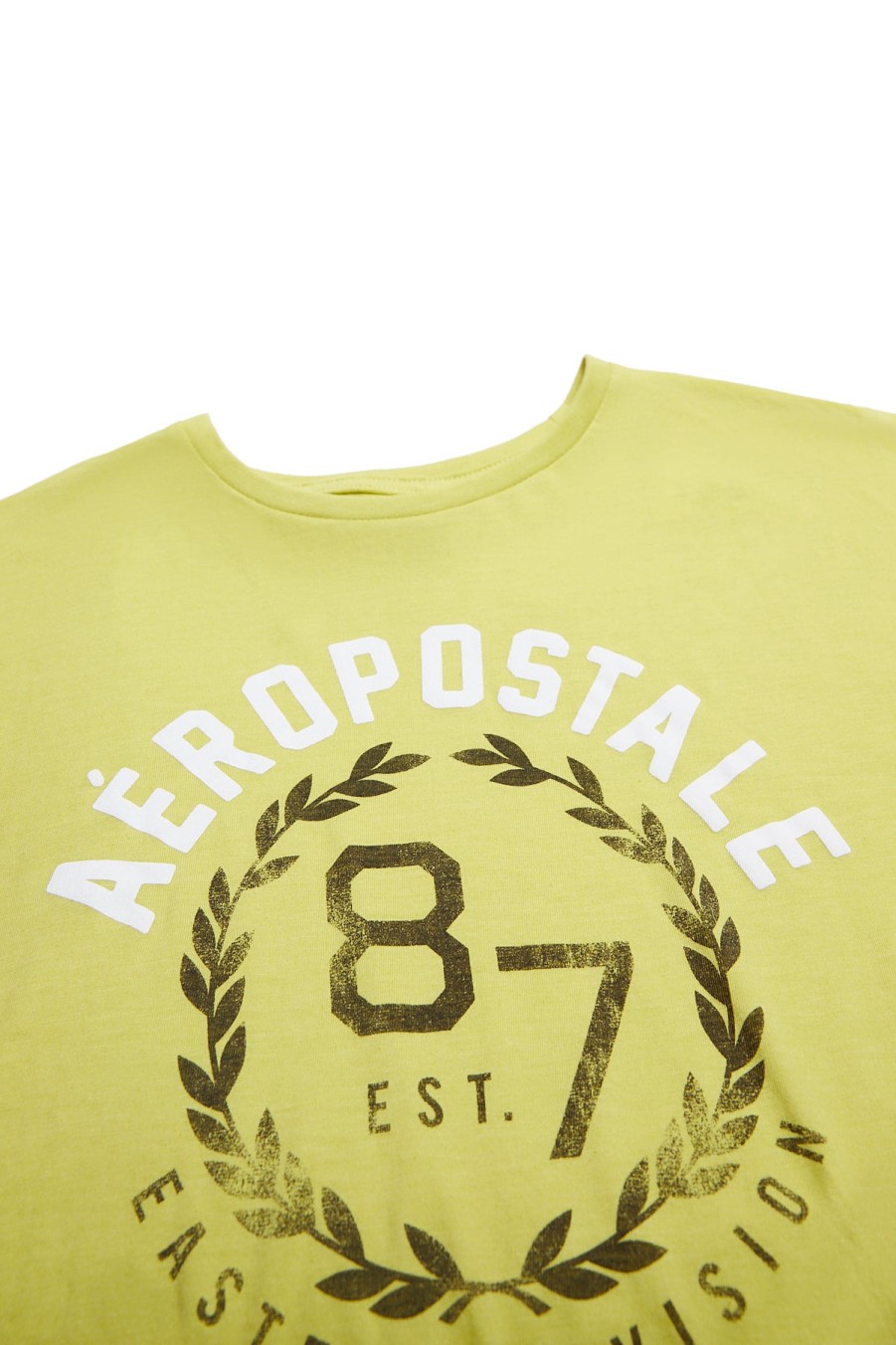 Aux Femmes Aéropostale T-Shirts Graphiques | Aeropostale Est 87 Leaf Wreath Graphic Boyfriend Tee Vert Fonce