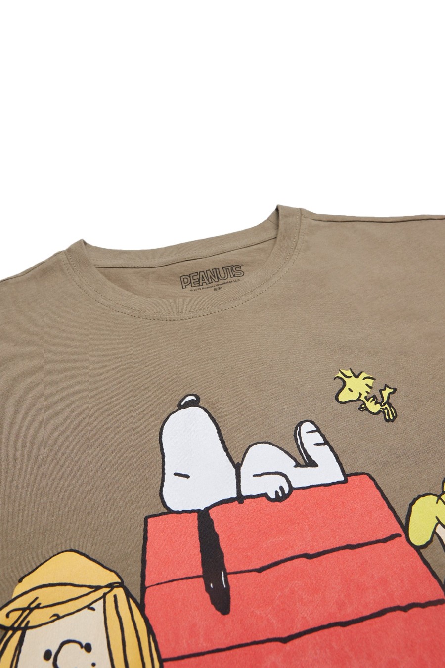 Aux Femmes Aéropostale T-Shirts | Peanuts Snoopy Family Graphic T-Shirt Decontracte Vert Chasseur