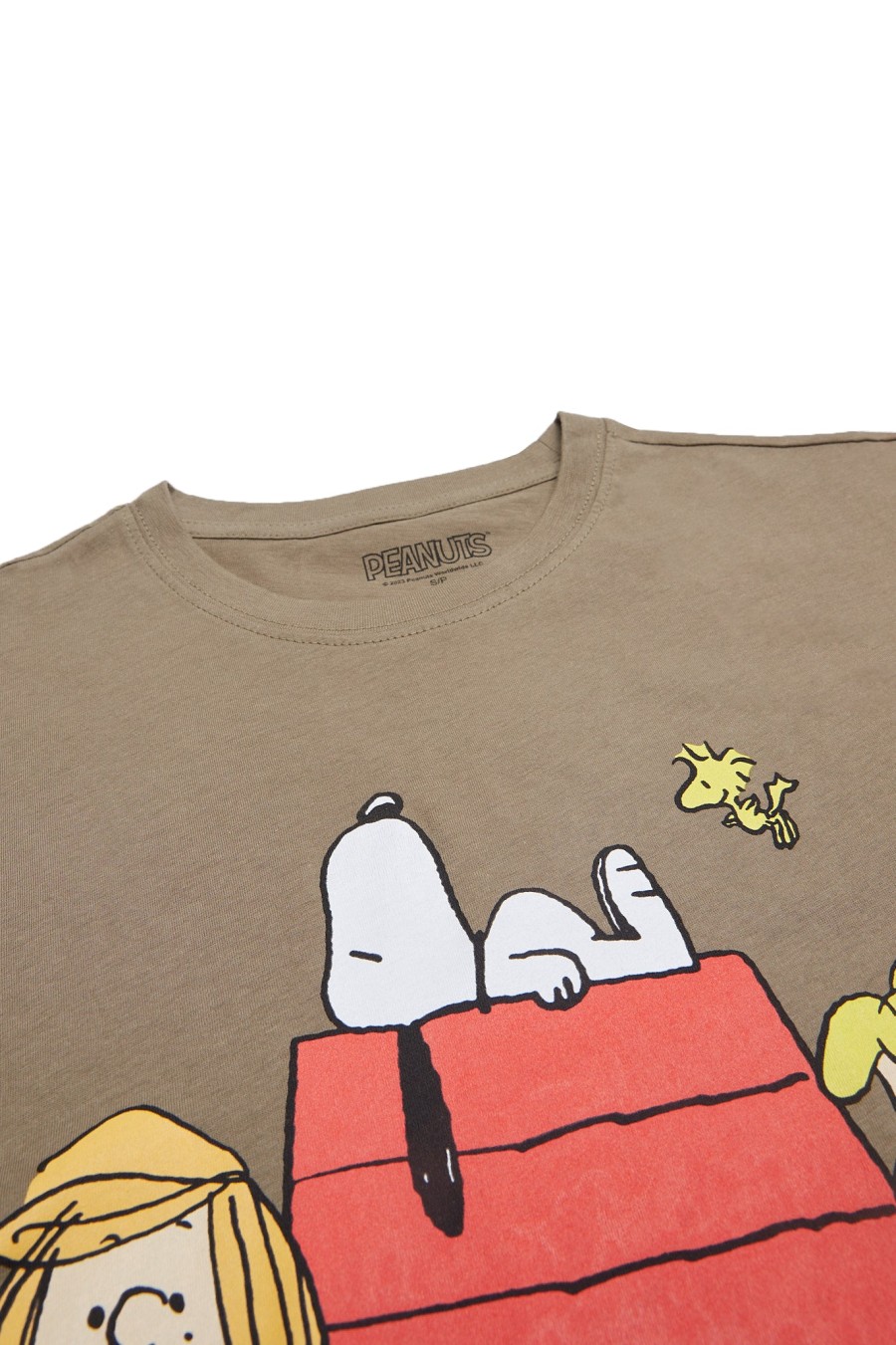 Aux Femmes Aéropostale Culture Pop | Peanuts Snoopy Family Graphic T-Shirt Decontracte Vert Chasseur