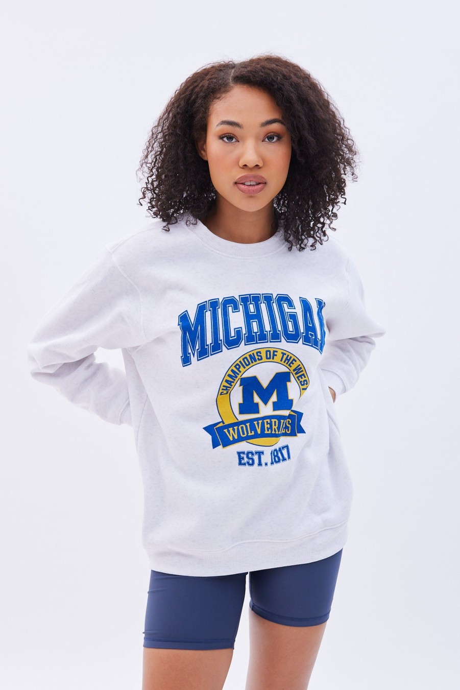 Aux Femmes Aéropostale Sweats A Capuche + Sweat-Shirts | Sweat-Shirt Surdimensionne A Col Ras Du Cou Et Graphique Michigan Gris