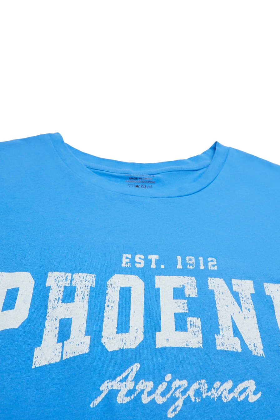 Aux Femmes Aéropostale Aeropostale | T-Shirt Surdimensionne A Imprime Phoenix Arizona Violet