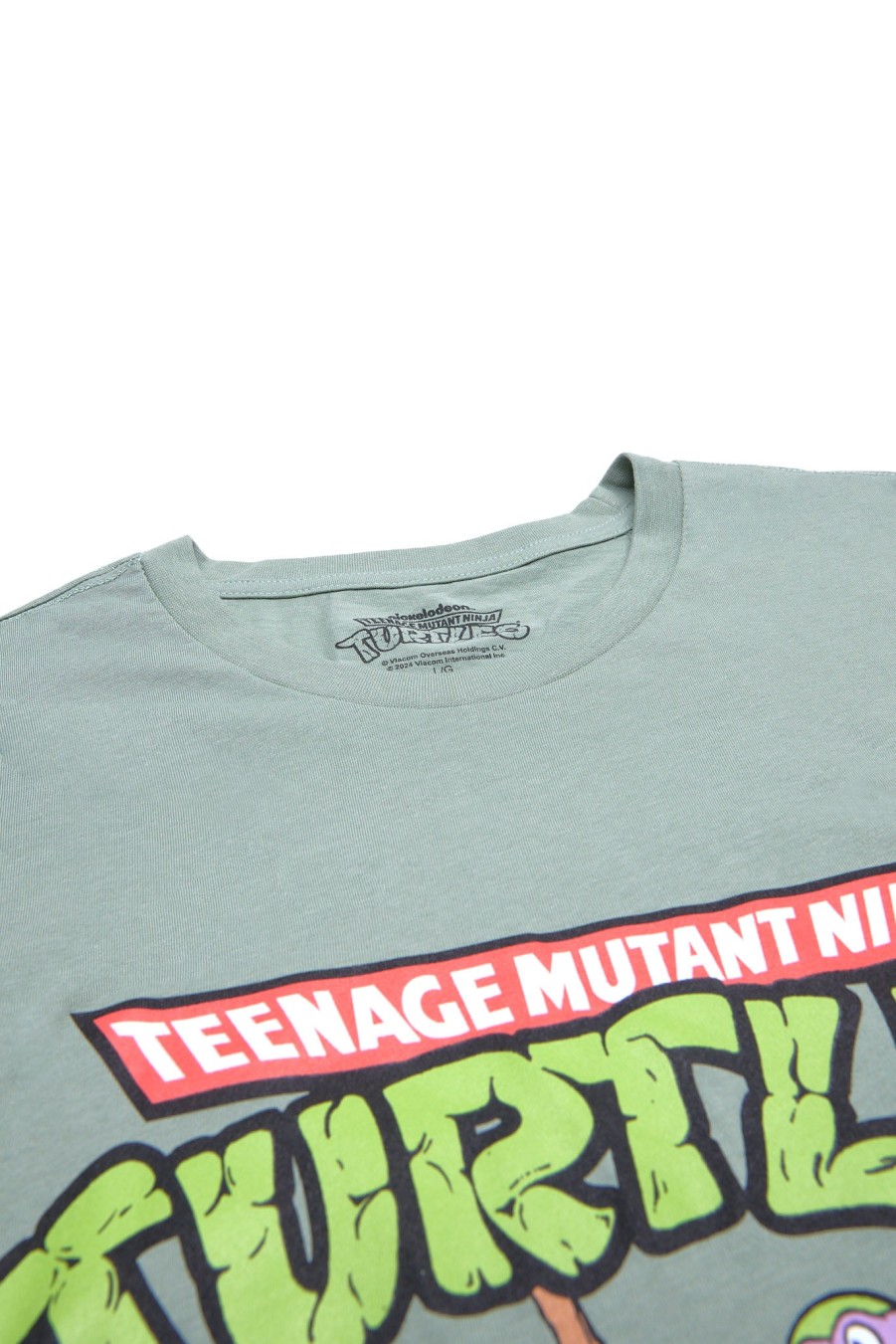 Pour Des Hommes Aéropostale Culture Pop | T-Shirt Graphique Teenage Mutant Ninja Turtles Sage